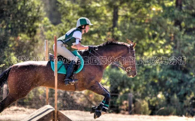 k1体育在线登录